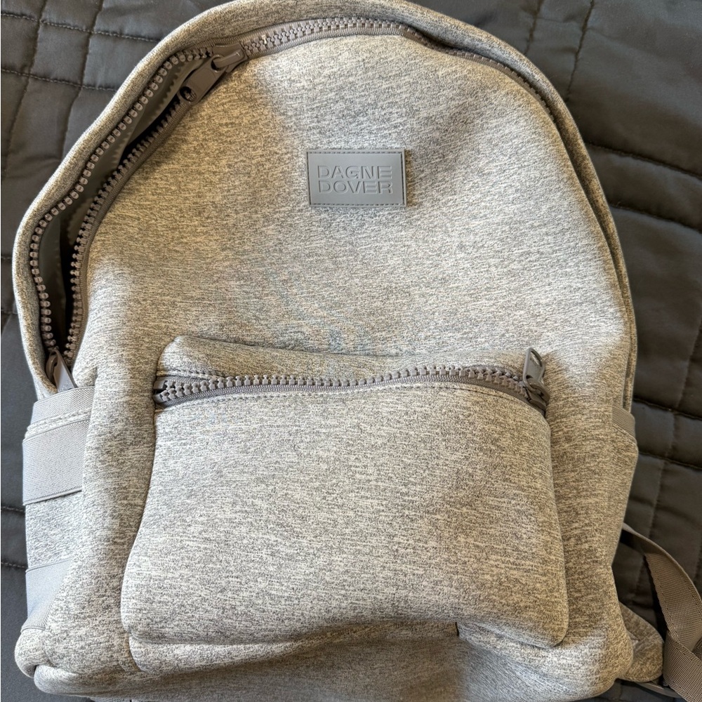 Dagne Dover Light Gray Large Backpack